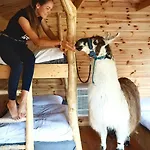 Cozy Wood Hut On The Farm * Trebivlice