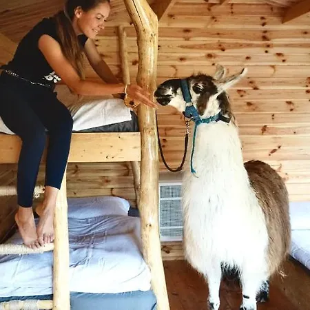 Cozy Wood Hut On The Farm * Trebivlice