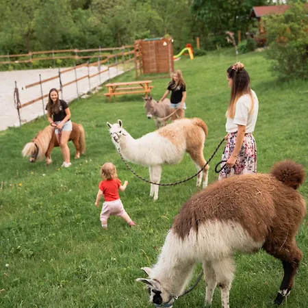 Lodge Cozy Wood Hut On The Farm