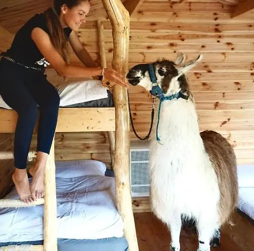 Cozy Wood Hut On The Farm * Trebivlice
